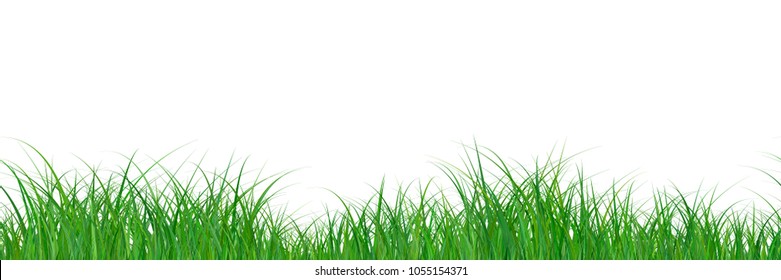 Green grass border gradient color texture isolated on white background. Seamless pattern. March, april, may abstract herbal floor vector illustration. Park, yard, garden natural landscape decoration