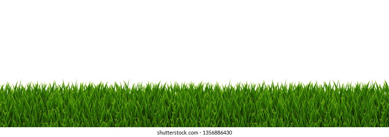 Green Grass Border With Gradient Mesh, Vector Illustration