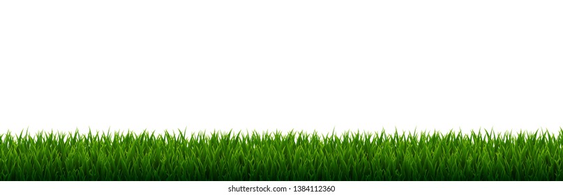 Green Grass Border With Gradient Mesh, Vector Illustration