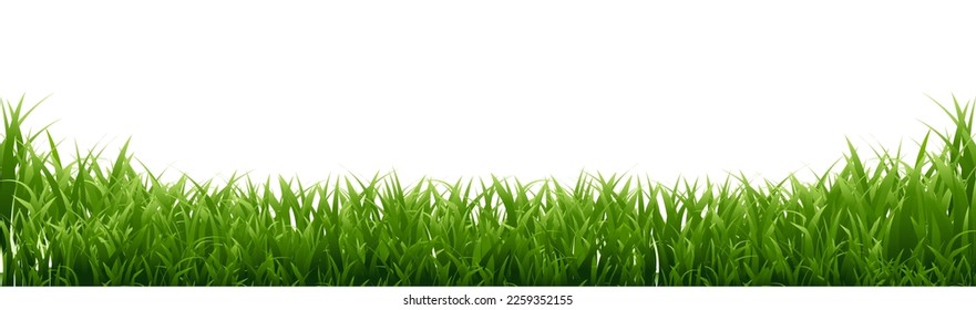 Green grass Border With Gradient Mesh, Vector Illustration