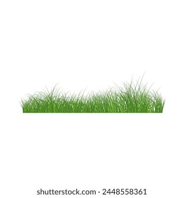 Green grass border. High green fresh grass isolated illustration.