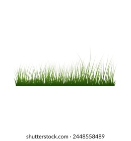 Green grass border. High green fresh grass isolated illustration.