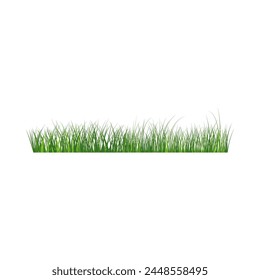 Green grass border. High green fresh grass isolated illustration.