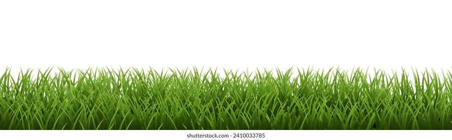 Green Grass Border Isoalated White Background , Vector Illustration