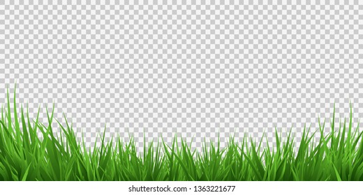 Green Grass Border, Isolated on Transparent Background, With Gradient Mesh, Vector Illustration