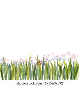 Green grass border isolated on white background. Vector illustration for spring or summer design. Decoration for Easter greeting card or banner