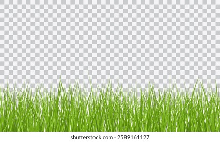 Green Grass border isolated on transparent background, vector illustration. Realistic green seamless grass. Grass png, lawn png.
