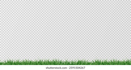 Green Grass border isolated on transparent background, vector illustration. Realistic green seamless grass,lawn. 