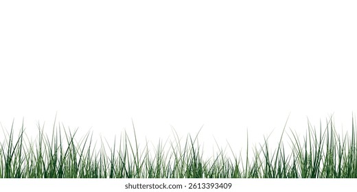 green grass border isolated on white background