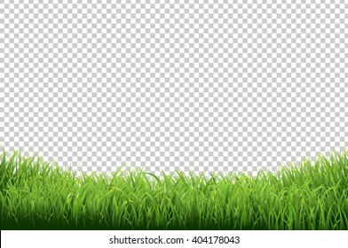 Green Grass Border, Isolated on Transparent Background, With Gradient Mesh, Vector Illustration