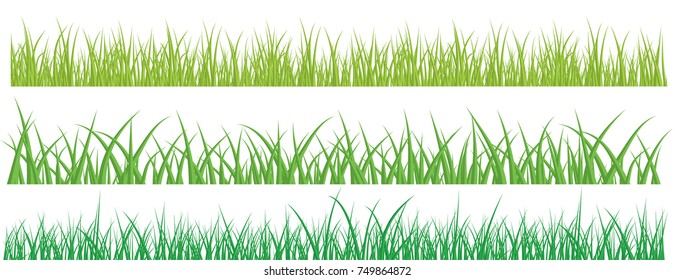 Green Grass Border isolated on white background. Vector Illustration.