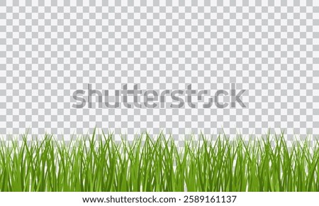 Green Grass border isolated on transparent background, vector illustration. Realistic green seamless grass. Grass png, lawn png.
