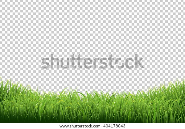 透明な背景に緑の草の境界 グラデーションメッシュ ベクターイラスト のベクター画像素材 ロイヤリティフリー