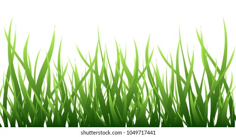 Green grass border isolated over white, field vector illustration. Symbol of nature, plant, ecology and growth. Summer horizontal background.