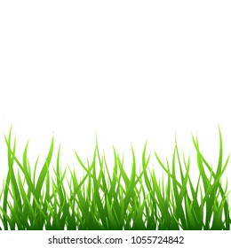 Green grass border isolated over white, field vector illustration. Symbol of nature, plant, ecology and growth. Summer square background.
