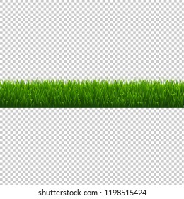 Green Grass Border Isolated Transparent Background, Vector Illustration