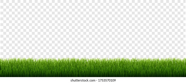 Green Grass Border With Isolated Transparent Background, Vector Illustration