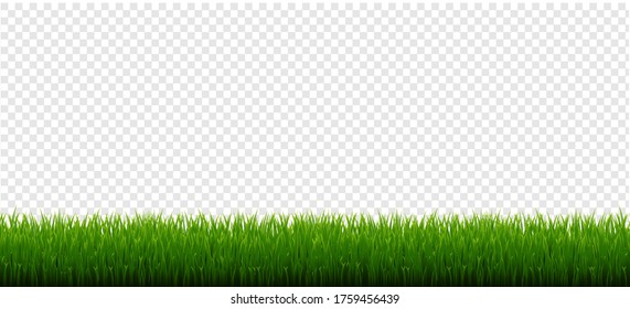 Green Grass Border Isolated Transparent Background, Vector Illustration