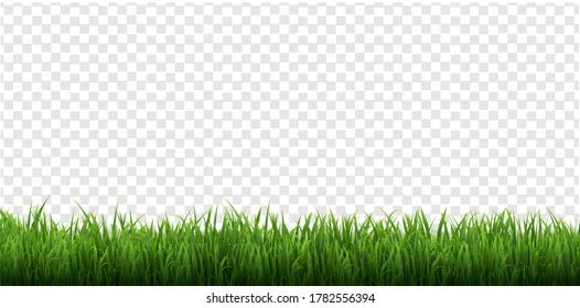 Green Grass Border Isolated Transparent Background, Vector Illustration