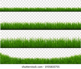 Green Grass Border Isolated Transparent Background , Vector Illustration