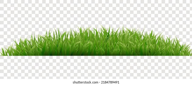 Borde De Grasa Verde Aislado Fondo Transparente Con Mash De Gradiente, Ilustración Vector
