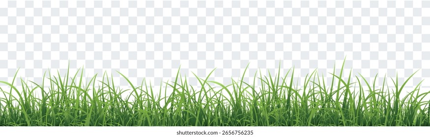 Fondo transparente aislado del borde de la hierba verde, Ilustración vectorial
