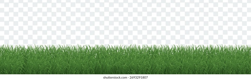 Grüner Grasrand auf isoliertem transparentem Hintergrund, Vektorgrafik