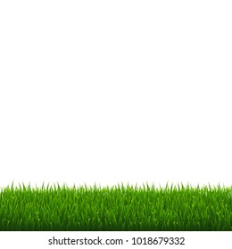 Green Grass Border Isolated, Vector Illustration