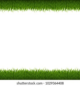 Green Grass Border Isolated, Vector Illustration