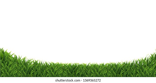 Green Grass Border Isolated, Vector Illustration