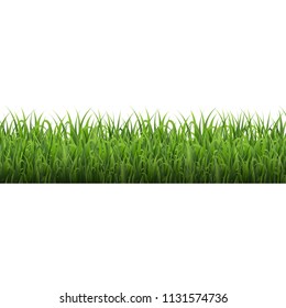 Green Grass Border Isolated White Background, Vector Illustration
