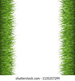 Green Grass Border Isolated White Background, Vector Illustration