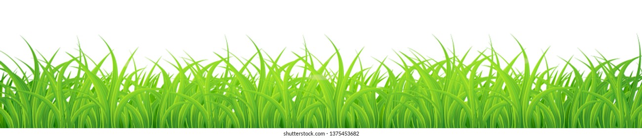 Green Grass Border Isolated white background,fresh spring grass,panoramic view,3d. Vector Illustration