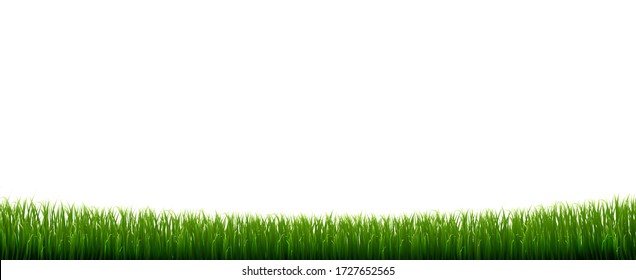 Green Grass Border With Isolated White Background, Vector Illustration