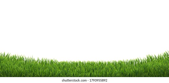 Green Grass Border Isolated White Background With Gradient Mesh, Vector Illustration