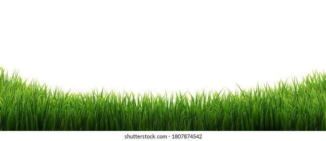 Fondo blanco aislado del borde verde de la hierba, ilustración del vector