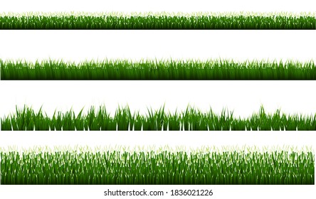 Green Grass Border Isolated White Background, Vector Illustration