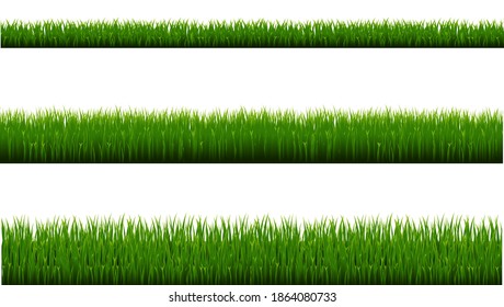 Green Grass Border Isolated White Background, Vector Illustration