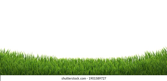 Green Grass Border Isolated White Background With Gradient Mesh, Vector Illustration