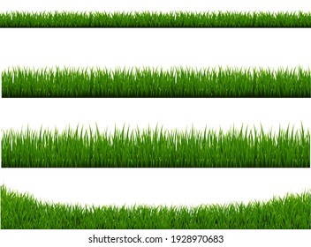 Green Grass Border Isolated White Background , Vector Illustration