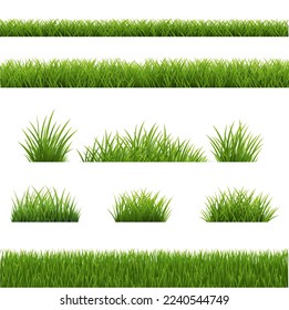 Green Grass Border Isolated White Backgriund With , Vector Illustration