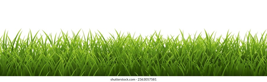 Green grass border And Isolated White Background , Vector Illustration