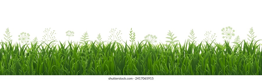 Green Grass Border And Isolated White Background With Gradient Mesh, Vector Illustration