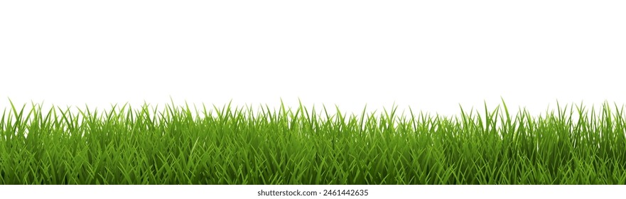 Green Grass Border Isolated White Background With Gradient Mesh, Vector Illustration