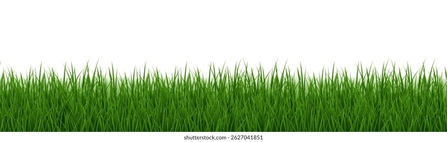 Borda De Grama Verde Isolada E Fundo Branco Com Malha De Gradiente, Ilustração De Vetor
