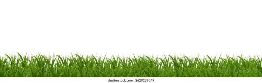 Green Grass Border Isolated White Poster , Vector Illustration