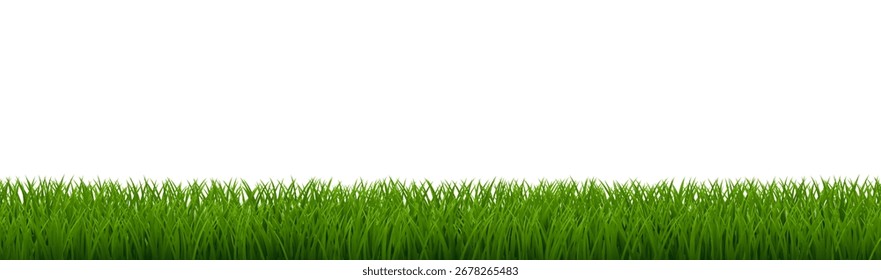 Borde de hierba verde aislado blanco con malla degradada, Ilustración vectorial