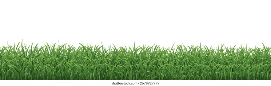Fondo blanco aislado del borde de la hierba verde, Ilustración vectorial