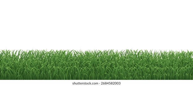 Green Grass Border Isolated White Background , Vector Illustration