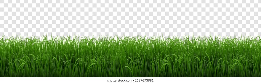 Borde de hierba verde con cartel blanco aislado, Ilustración vectorial